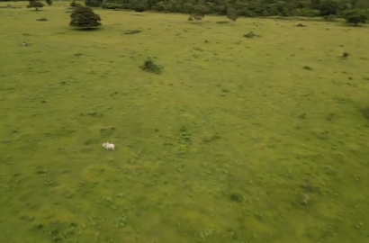 Fazenda no Mato Grosso 217 ha para Pecuária perto da JBS – Oportunidade com preço reduzido. Fale comigo e aproveite!
