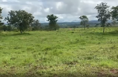 Fazenda à Venda em Ivolândia GO – 38 Alqueires, 25 Alqueires Cultiváveis para Soja, Estrutura Completa