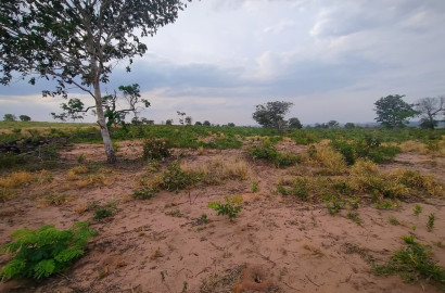 Fazenda em Serranópolis GO com 125 Alqueires Formados e Terra de Argila