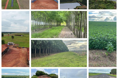 Mega Fazenda no Tocantins com 17.125 ha – Lavoura, Gado e Seringueira Produzindo | Oportunidade Única para Investidores.