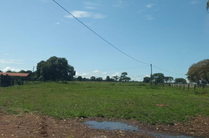 Fazenda 1.230 ha à venda em Unaí MG – Pecuária formada, 600 cabeças de gado e porteira fechada. Oportunidade! Fale comig
