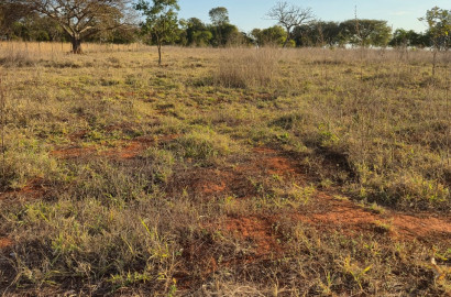 Chácara 20.000 m² à venda perto de Goiânia – Escriturada, cercada e com pomar. Ótima oportunidade! Consulte condições.