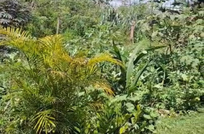 Chácara à Venda Próxima a Rio Verde GO | 1.800 m² com Piscina Aquecida, Córrego e Área Gourmet